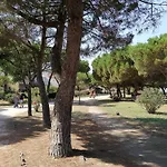 Les Ecureuils A La Mer Argelès-sur-Mer
