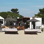 Les Ecureuils A La Mer * Argelès-sur-Mer