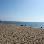 Les Ecureuils A La Mer * Argelès-sur-Mer
