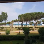 Les Ecureuils A La Mer *