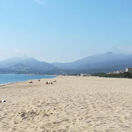 アパート Les Ecureuils A La Mer アルジェレス・シュル・メール
