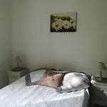 Les écureuils à La Mer *