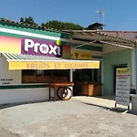 Les écureuils à La Mer * Argelès-sur-Mer