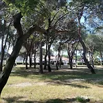 Les écureuils à La Mer Argelès-sur-Mer