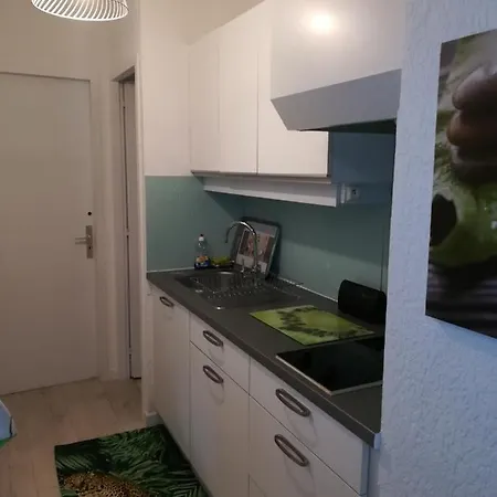 Les Ecureuils A La Mer Apartment Argeles-sur-Mer