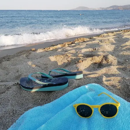 Les écureuils à La Mer *