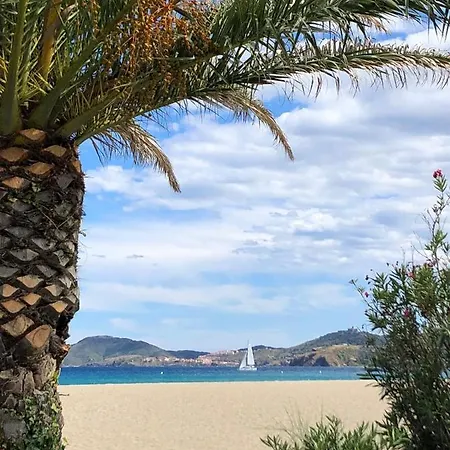 Les écureuils à La Mer