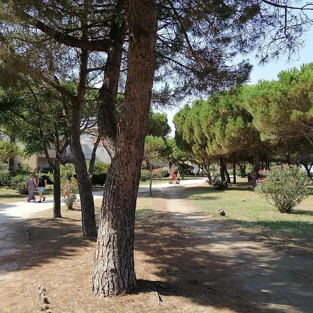 Les Ecureuils A La Mer Argeles-sur-Mer