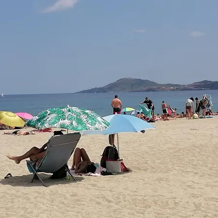 Les écureuils à La Mer *