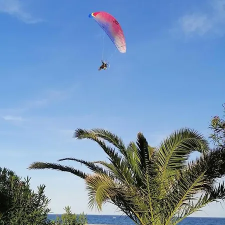 Les Ecureuils A La Mer