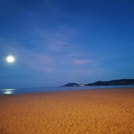 Les écureuils à La Mer