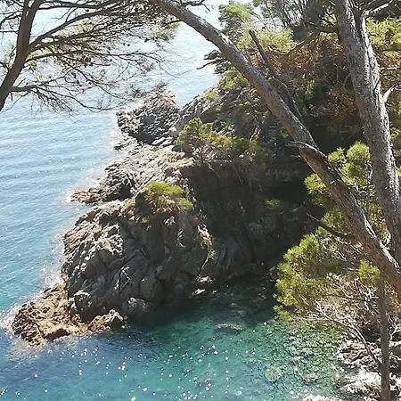 Les Ecureuils A La Mer Apartment Argeles-sur-Mer