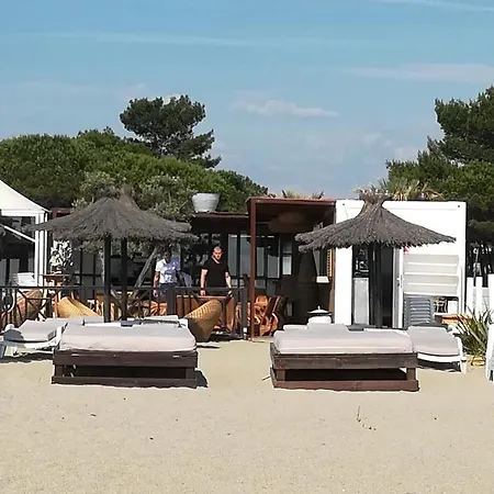 Les Ecureuils A La Mer * Argeles-sur-Mer