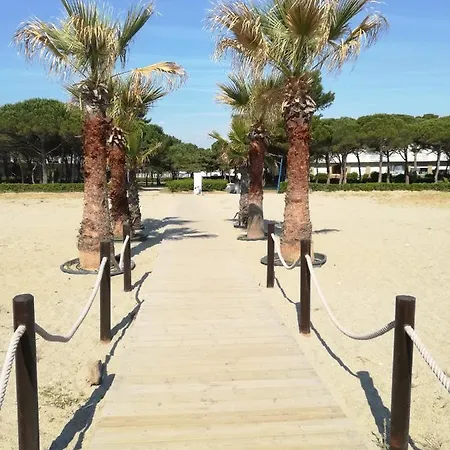 Les Ecureuils A La Mer * Argeles-sur-Mer