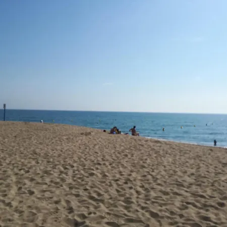 Les Ecureuils A La Mer * Argeles-sur-Mer