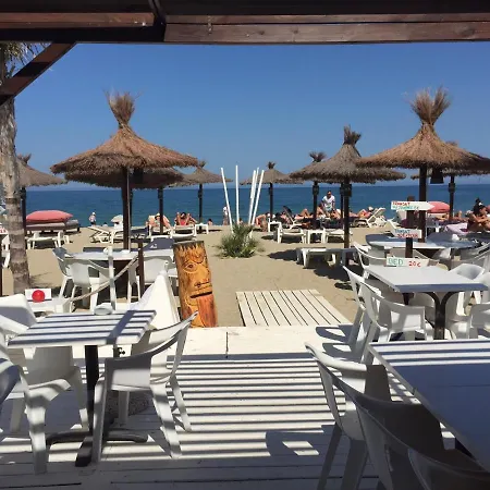 Les Ecureuils A La Mer Argeles-sur-Mer