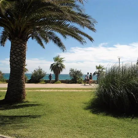 Les Ecureuils A La Mer * Argeles-sur-Mer