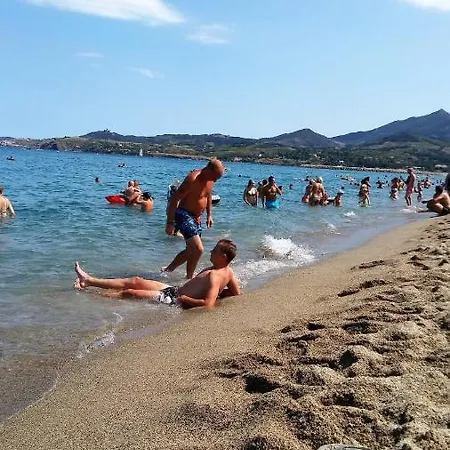 Les Ecureuils A La Mer