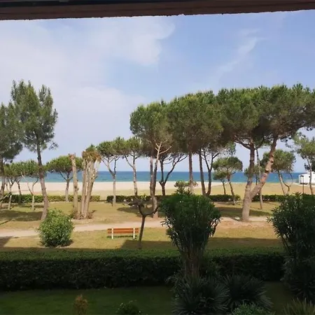 Les Ecureuils A La Mer *