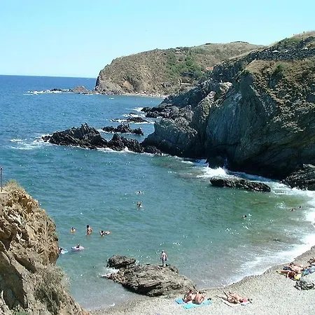 Les Ecureuils A La Mer * Argeles-sur-Mer