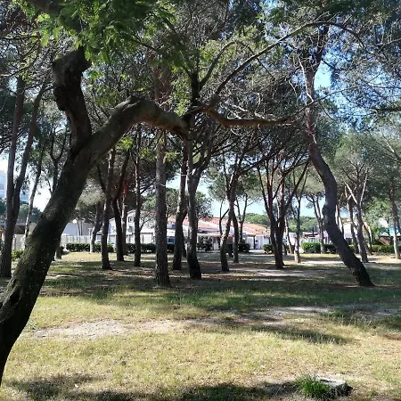 Les Ecureuils A La Mer Argeles-sur-Mer